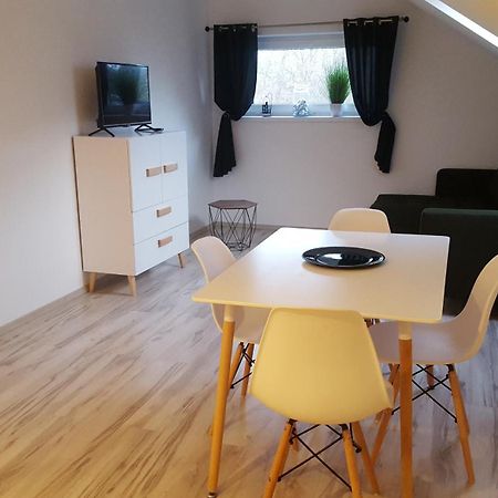 Apartamenty - Pod Wierzbami Dwikozy Bilik gambar