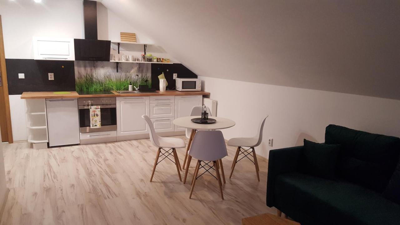 Apartamenty - Pod Wierzbami Dwikozy Luaran gambar