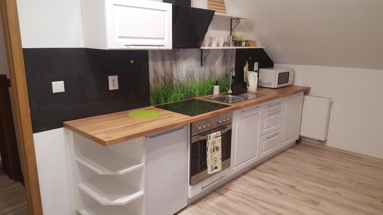 Apartamenty - Pod Wierzbami Dwikozy Luaran gambar